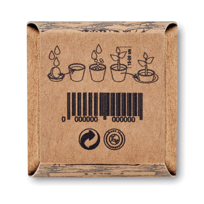 MINT KIT - Pflanz-Set Minze