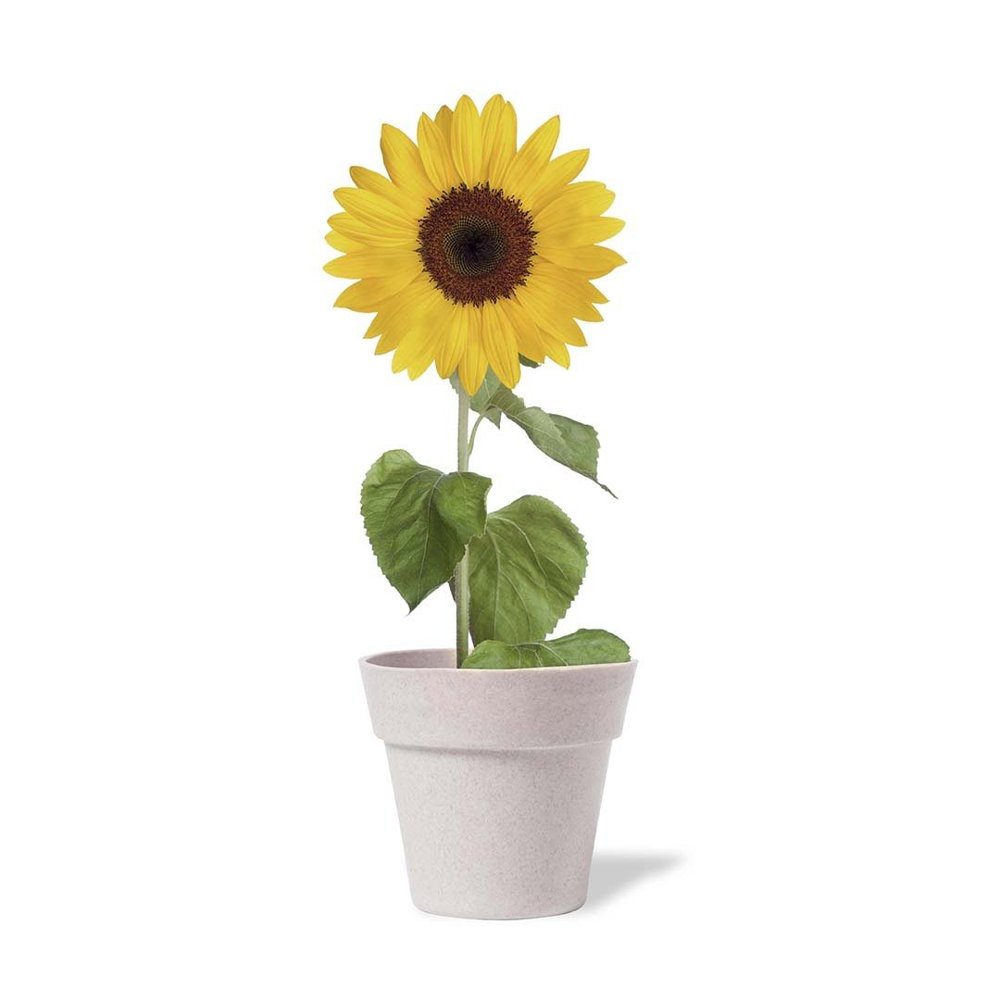 Blumentopf Tumil