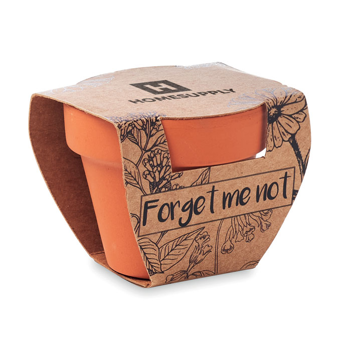 FORGET ME NOT - Terracotta-Topf Vergissmeinnicht