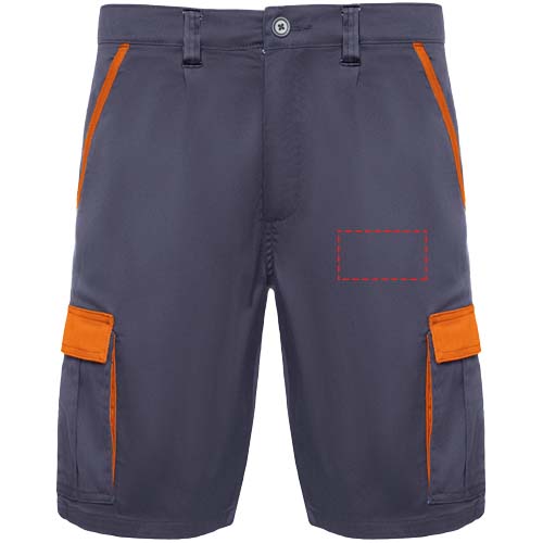 Tahoe Arbeitsshorts, 250 g/m2