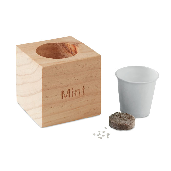 MENTA - Kräuterpflanz-Set