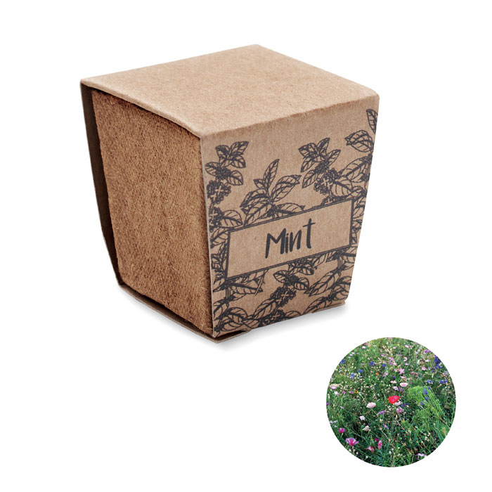 MINT KIT - Pflanz-Set Minze