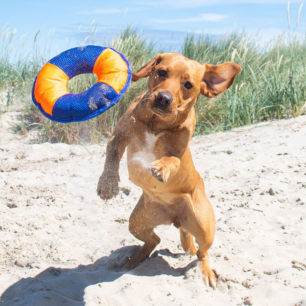 Hundespielzeug Flying Disc, gelb/blau, S